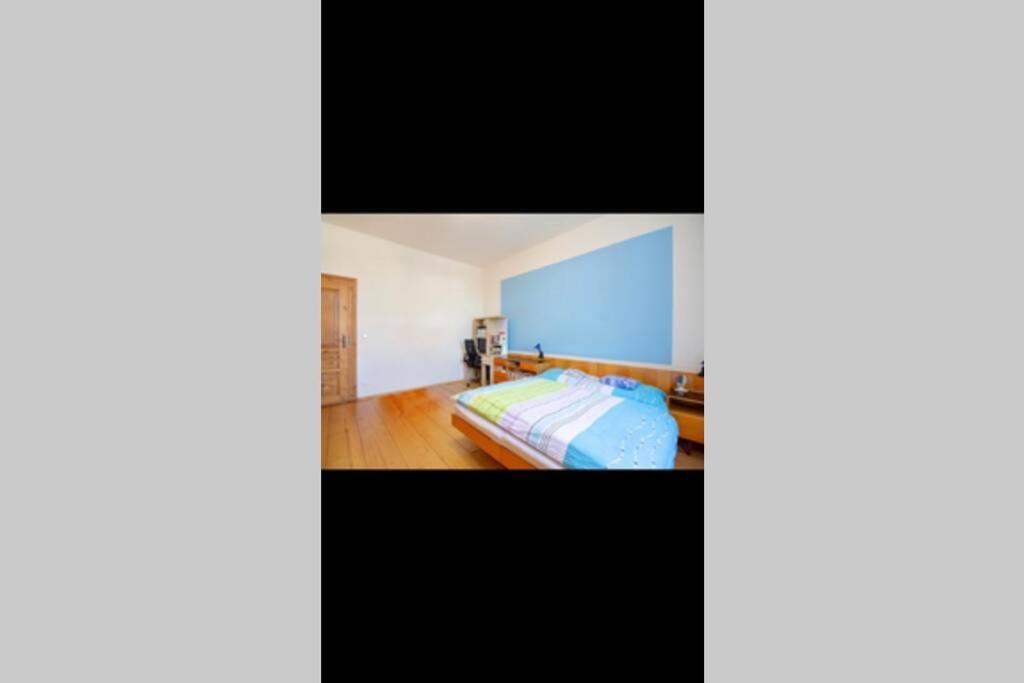 Zamecky Apartman V Horni Plane Horní Planá 外观 照片